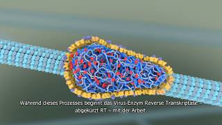 Wie vermehrt sich HIV im Körper [upl. by Mulry]