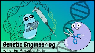 Genetic Engineering [upl. by Norraa]