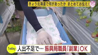 日高振興局職員の勤務時間外の副業を可能に…働き手不足の解消狙い 時給は最低賃金の８８９円で月３０時間 [upl. by Leira]