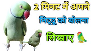 सीता राम बोलने वाला तोता  ये तोता मम्मी पापा बोलता है  मम्मी पापा बोलने वाला तोता  🦜🦜🦜 [upl. by Ajroj693]