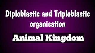 Diploblastic and triploblastic organisation  animal kingdom  class 11 Biology [upl. by Hindu898]