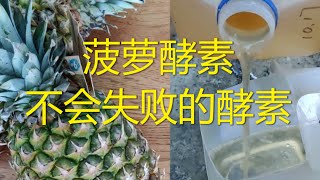 菠萝酵素 不会失败的酵素 液态肥改善土质 增加土壤养分 [upl. by Roper]