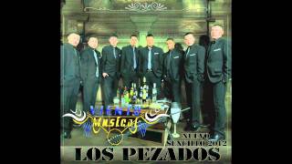 Viento Musical ¨Los Pezados primer cencillo 2012 [upl. by Ydnab]