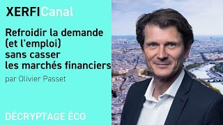 Refroidir la demande et lemploi sans casser les marchés financiers Olivier Passet [upl. by Ocihc299]