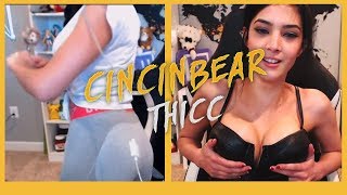 CinCinBear THICC 🍑 [upl. by Hugon]