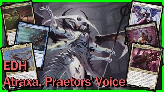 Atraxa Praetors Voice EDH Deck Tech  Magic the Gathering [upl. by Ettenal]