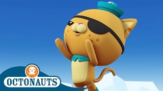 Octonauts  a Help From a Humpback Whale  Cartoons for Kids  Underwater Sea Education [upl. by Reaht]