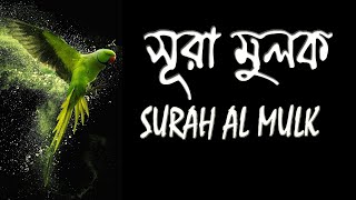 সূরা মুলক । Surah Mulk [upl. by Ahtan]