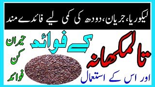 Health Benefits Of Talmakhana  Talmakhan ke fawaid mizaj ur us ke istemal [upl. by Ber314]