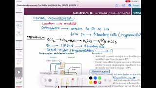 chemoreceptors peripheral and central cardiology 47  First Aid USMLE Step 1 in UrduHindi [upl. by Blackburn]