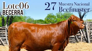 BEEFMASTER SUPREMO EXPO GUADALUPE EPISODIO 34 [upl. by Nyrad22]