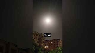 سكون الأشجار ليس معناها لا تسبح أذكروا الرحمن قراناكسبلورfunnyfunnyshortsvideoshortsvideoxplor [upl. by Lodge]