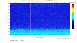 Possible Sei Whale Vocalizations [upl. by Selena]