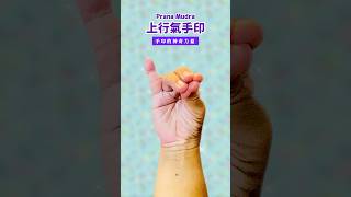 手印的神奇力量《上升氣手印 Udana Mudra》提升上行氣 穩定內在情緒 活化空元素 花覺醒 手印 mudra 健康 花手印 手印大全 瑜珈手印 [upl. by Ymmas]