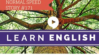 Deep English  Death of an Ancient Tree normal speed [upl. by Ahsaetal]