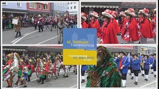 42 Tuttlinger Fasnetumzug am Samstag 02022019 [upl. by Medora587]