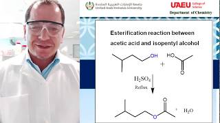 Preparation of Isopentyl Acetate Banana Oil  Dr Abdelouahid Samadi [upl. by Secnarfyram]