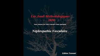 Item 260  Néphropathie Vasculaire [upl. by Neram]