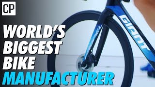 How Giant Became The Worlds Biggest Bike Company [upl. by Alorac]