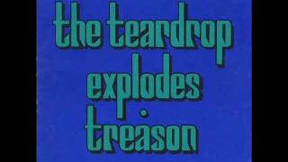 THE TEARDROP EXPLODES books 1980 [upl. by Lisandra]