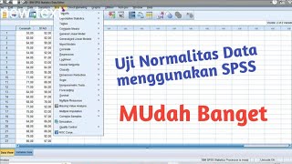 Uji Normalitas Data menggunakan SPSS [upl. by Ellwood53]