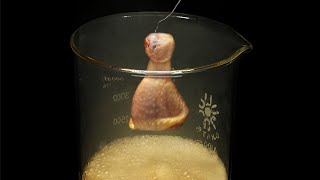 Vaporizing chicken in acid [upl. by Khan]