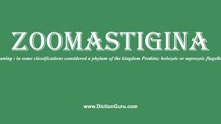 zoomastigina How to pronounce zoomastigina with Phonetic and Examples [upl. by Atirhs77]