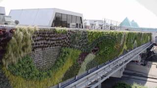 Timelapse  Largest Living Wall in North America Green over Grey [upl. by Eiramenna]