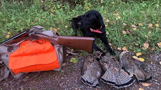 Grouse Hunting With A Great Dog [upl. by Atiuqet]