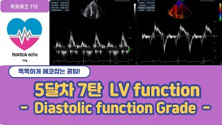 Diastolic dysfunction Grade DDF diastolic relaxation echocardiography 심장초음파 heart echo view [upl. by Arol]