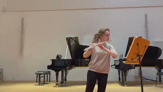 R Strauss  Sinfonia Domestica flute excerpt [upl. by Naerad]