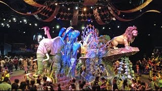 Animal Kingdom  Festival of the Lion King  Full Show Mix [upl. by Vaughn382]