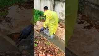 Unclogging Drain With Big Whirlpool viral drainage satisfying funny shorts [upl. by Solhcin830]