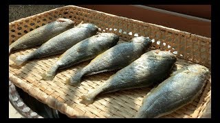 토끼바지 아파트에서 굴비 만들기 korean dried fish recipe 어머니께 전수받는 우리집 요리 [upl. by Zedecrem]