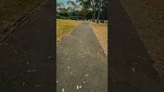 Parramatta Park Edit 2 4K [upl. by Vally159]