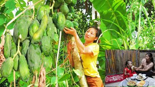 Harvesting papaya for sows to eat making papaya salad and farm potatoesfarmlife4 [upl. by Chill]