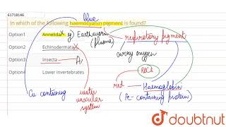 In which of the following haemocyanin pigment is found [upl. by Aizitel]