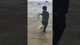 Hirakud Dam fishing video hirakuddam fishing shorts video viralvideo shortsvideo short fish [upl. by Theta447]