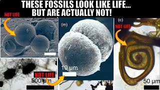 False Biosignatures and Fossils That Look Like Life  New Study [upl. by Holmann]