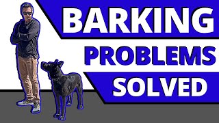 Step by Step Solutions to Fix Unwanted Barking so you can Meet People in the Real World [upl. by Ydnor]