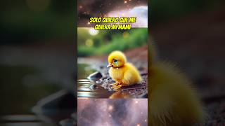 El patito feo 🐥 shortsviral mismascotas babyanimal paramascotas pato patitofeo babypet [upl. by Ryun777]