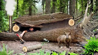 Building of a secret dugout under a fallen tree [upl. by Ahsotan]