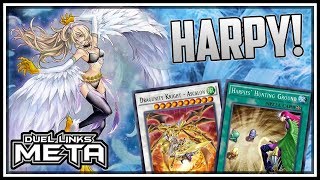 Harpy Dragunity Dark Magician COUNTER YuGiOh Duel Links [upl. by Jenda]