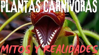 🌿🦁 ¡PLANTAS CARNIVORAS DESCUBRE A ESTAS FASCINANTES PREDADORAS 🦗🔍 [upl. by Eudosia29]