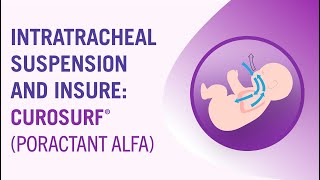 lntratracheal Suspension and INSURE CUROSURF® poractant alfa [upl. by Ylrebmek]