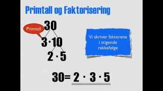 Primtall og Faktorisering [upl. by Llekcir]