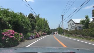 千葉県道282号 柏印西線 車載動画 [upl. by Beverly757]