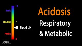 Acidosis Respiratory and Metabolic Animation [upl. by Chip]