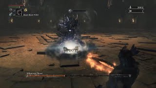 Bloodborne  Abhorrent Beast I BL4 No Damage No Poison Knives [upl. by Sulamith744]