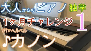 【大人からのピアノ】初心者が独学で弾いてみた♪パッヘルベルのカノンを1ヶ月チャレンジ1【ぷりんと楽譜中級】 [upl. by Anilek903]